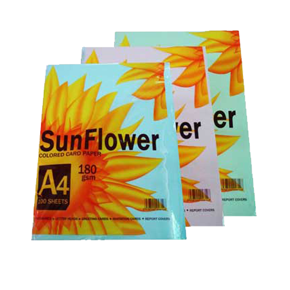 Bìa Thái Sunflower A4 (Dương, lá, trắng, hồng, vàng)